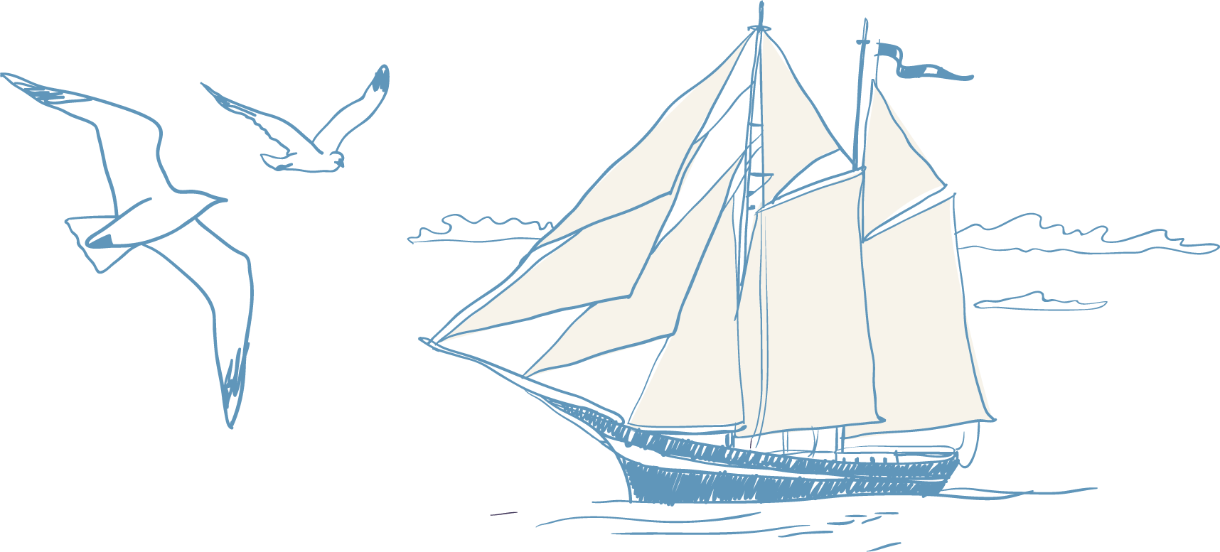barco-pajaros