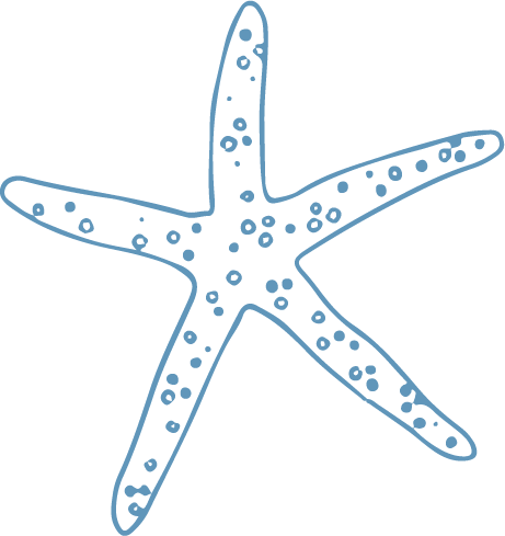 estrella